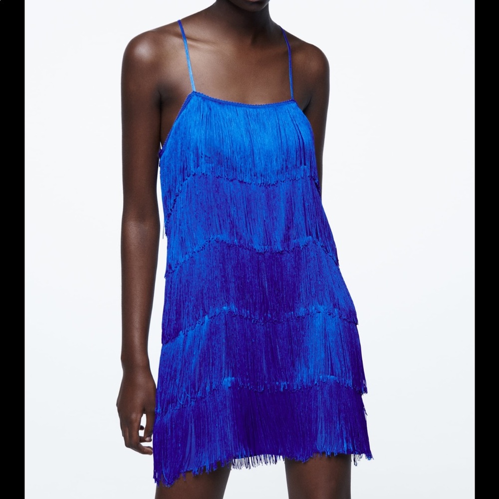 • Zara • Fringed Mini Dress - Picture 5 of 11